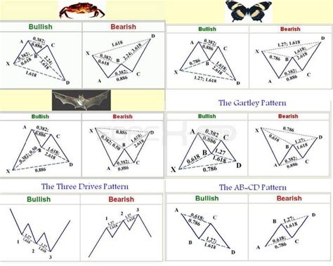 How to Trad The Butterfly Harmonic Pattern Forex Trading Strategy ...