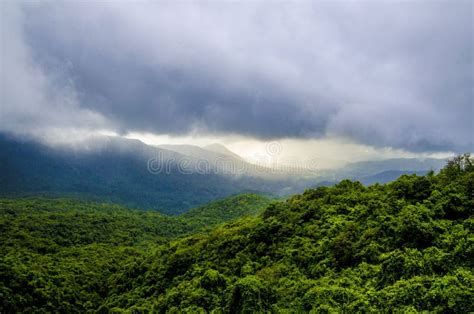 Nature Photography during Monsoon in India Stock Photo - Image of ...