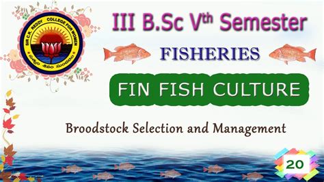 20. III BSc 5th Sem - FIN FISH CULTURE - Unit 5 - Broodstock Selection ...