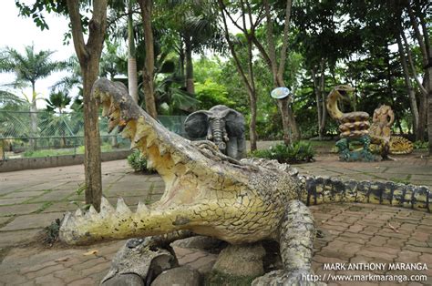 Davao Crocodile Park - Philippines Tour Guide