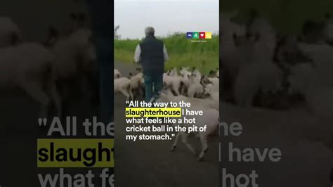 Jeremy Clarkson On Taking Farm Animals To Slaughter