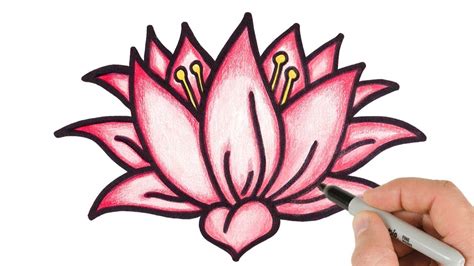 Pretty Lotus Flower Drawing | Best Flower Site