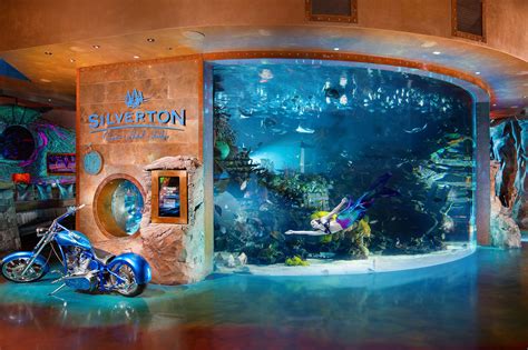 Best Place to Take the Kids: Silverton Aquarium - Las Vegas Weekly