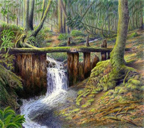 David Richards Colored Pencil | Landscape drawings, Color pencil art ...