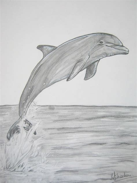 Dolphin A4 graphite, | Pencil Sketches | Pinterest | Graphite, A4 and ...