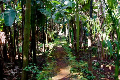 Sahakari Spice Farm - North Goa, India | Chris Goldberg | Flickr