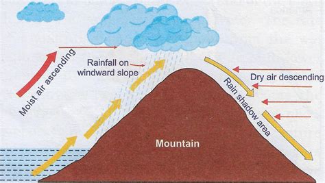 Draw A Well Labelled Diagram Showing Orographic Rainfall Knowledgeboat ...