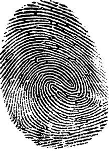 3.05 Analyzing Fingerprints