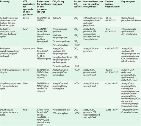 | Pathways for autotrophic carbon fixation | Download Table