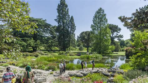 Welcome to Cambridge University Botanic Garden - Find Out More