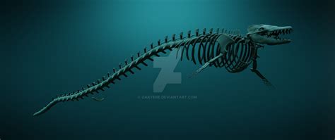 Basilosaurus Skeleton by Oakyere on DeviantArt