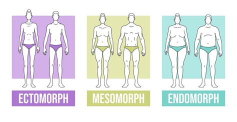 Biological Theories of Crime