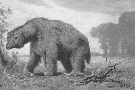 Animals Of The Stone Age List With Pictures & Facts