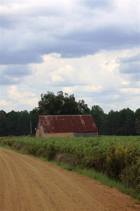 Metter, GA : Beautiful country backroads in Metter photo, picture ...