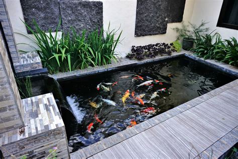 8 steps to make a DIY pond filter at home | Airtasker AU