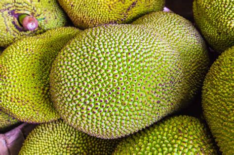 All About Jackfruit - How to Pick, Prepare & Store | Healthy Family Project