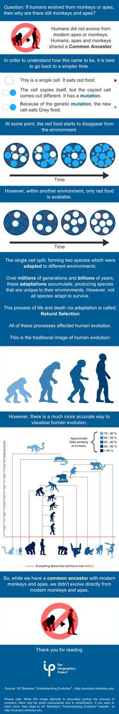 Creationism vs. Evolution