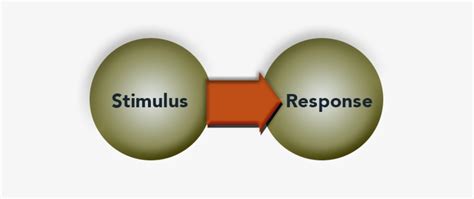 Stimulus Response “ - Stimulus–response Model - Free Transparent PNG ...