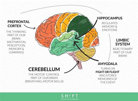 Instructional Designers: Understand The Role of Emotions in Learning