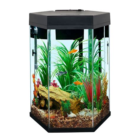 10 Gallon Fish Tank Stand Petsmart | Bruin Blog