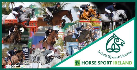 Irish Sport Horse Studbook breeding programme delivers | World of ...