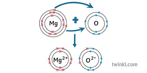 mgo ionic bond dot and cross diagram Science ks4 - Twinkl