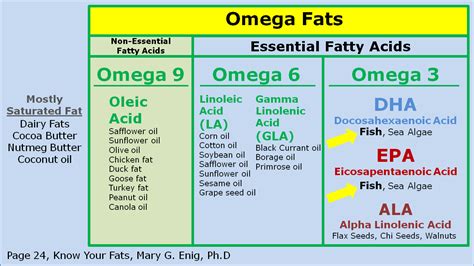 Arterial Plaque: What You Need to Know! – 337 - Medici Enterprises