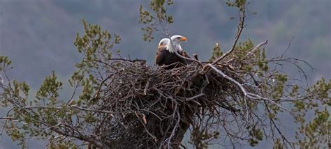 aransas national wildlife refuge – TrailBlazer Magazine