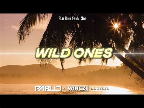 Flo Rida feat. Sia - Wild Ones Chords - Chordify