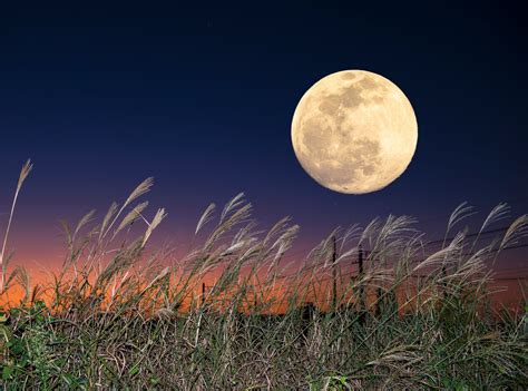 Fall Harvest Moon Photography