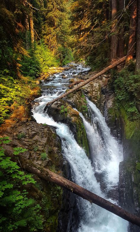 Sol Duc Falls | Olympic National Park, WA, USA [OC] [2988x4944] : EarthPorn