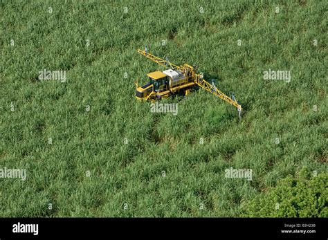 equipment RoGator sprayer in sugarcane field farming sugar cane Stock ...