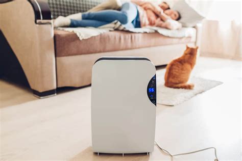 10 Best Dehumidifiers of 2024