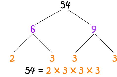 Tree - Math Definitions - Letter T