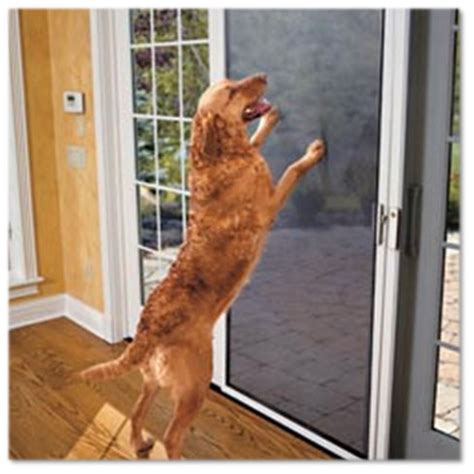 Pet-Resistant Window Screens - A to Z Window Screens