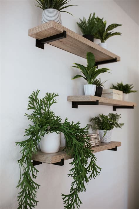 Marvelous Wall Plant Shelf Indoor Apollo Railing Planter