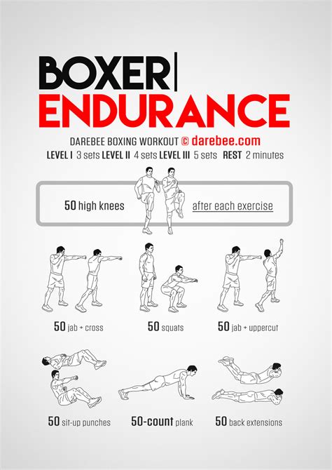 Boxer Endurance Workout