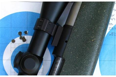 Best Targets for Rifle Shooting | Ammunition Depot