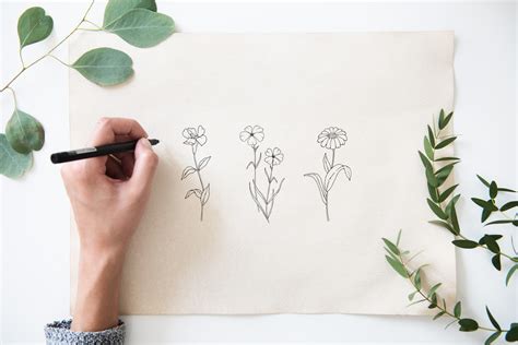 Three Line Art Floral Illustrations