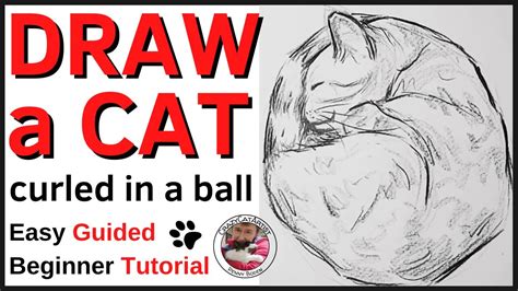 How to Draw a Cat Curled up in a Ball Sleeping - simple kitty sketch ...