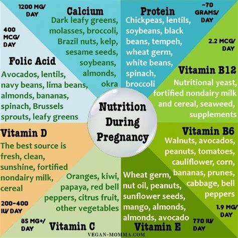 It's easy to maintain the proper nutrition during pregnancy on a vegan ...