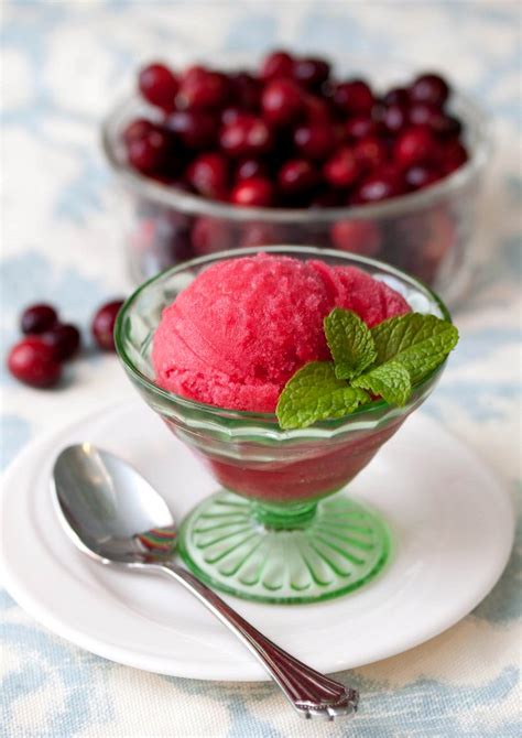 Cranberry Sorbet » Tide & Thyme