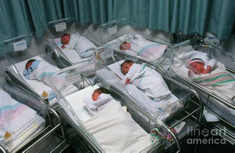 Newborn Babies In A Hospital Maternity Nursery Photograph by John Greim ...