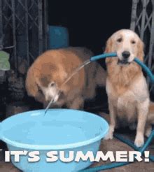 Crashhhh GIF - Summer Summer2015 Summer2k15 - Discover & Share GIFs