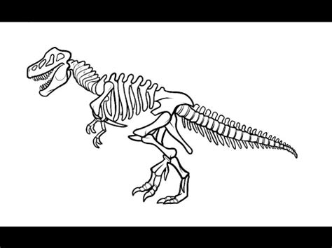 how to draw Dinosaur T rex skeleton step by step - YouTube