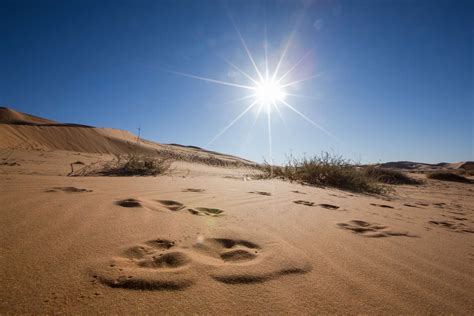 Desert Climate