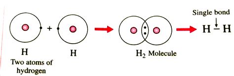 Hydrogen Molecule