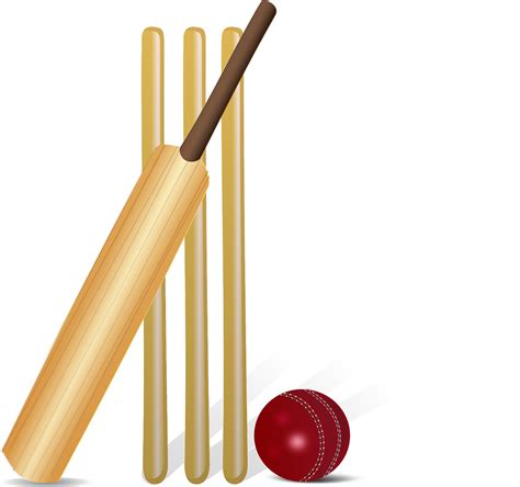 Download Cricket, Cricket Bat, Bat. Royalty-Free Vector Graphic - Pixabay