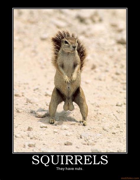 Squirrel Nut Quotes And Sayings. QuotesGram