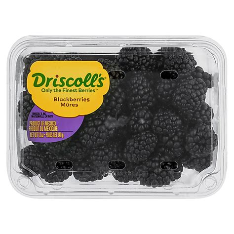 Driscoll's Blackberries 12 oz | Buehler's